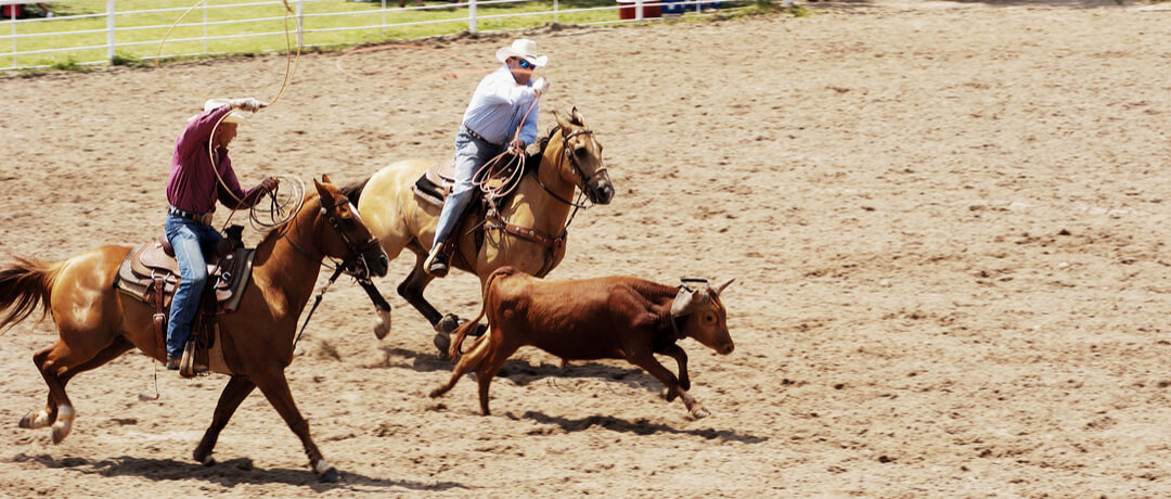 Team Roping